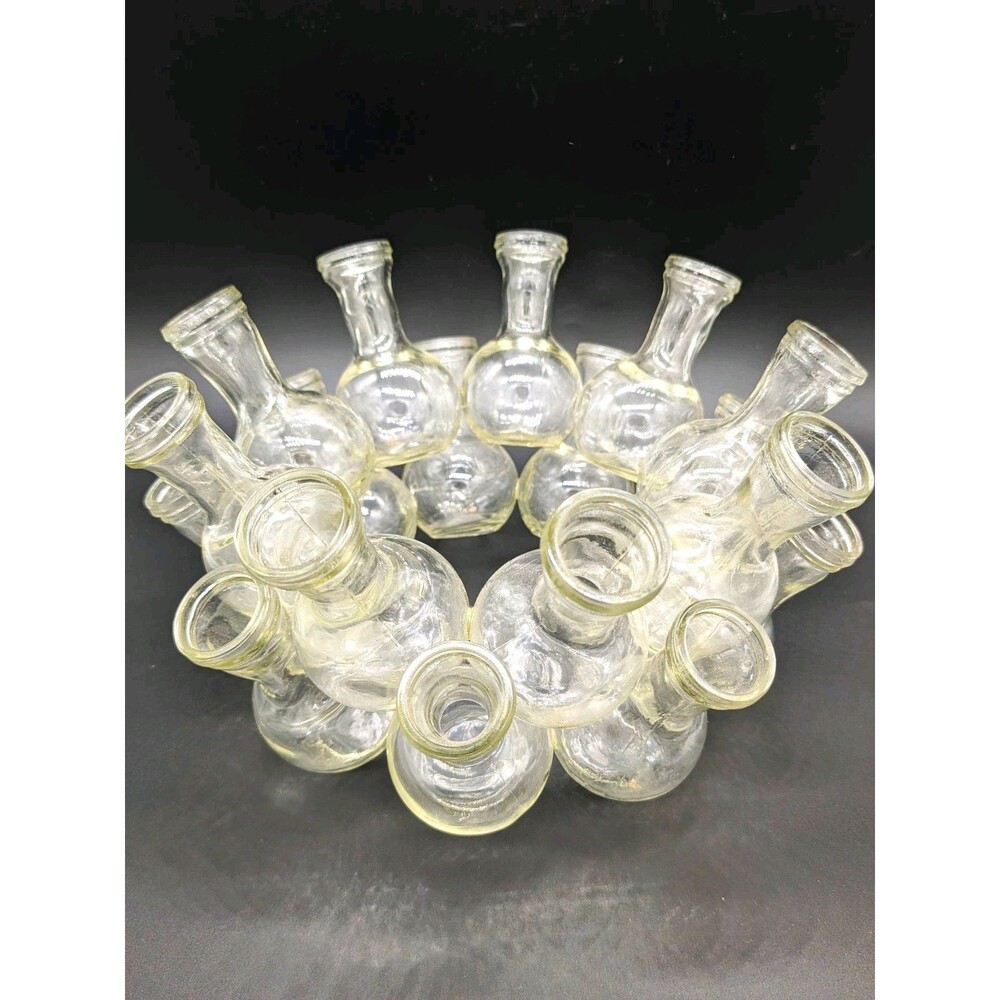 Vintage Clear Glass 18 Cluster Bud Vase Flower Frog Propagation Station MCM